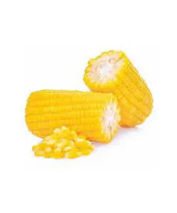 CORN ON THE COBS 1KG