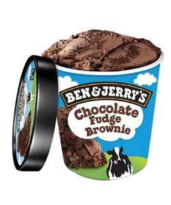 BEN & JERRYS CHOC FUDGE BROWNIE  12 X 100ML