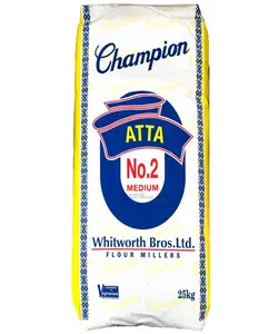 CHAMPION-NO.2-MEDIUM-25KG