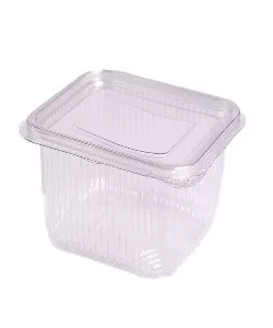 EP 1000CC HINGED SALAD CONTAINERS AND LIDS