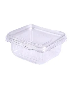 EP 250CC HINGED SALAD CONTAINERS AND LIDS