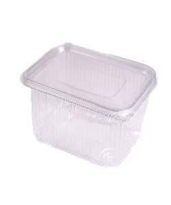 EP 500CC HINGED SALAD CONTAINERS AND LIDS