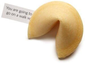 FORTUNE COOKIES 300