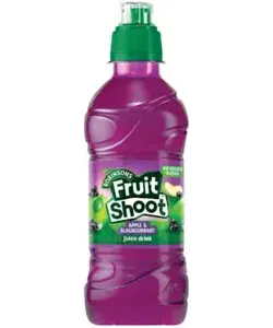 FRUIT SHOOT  BLACKCURRANT 24 X 200ML