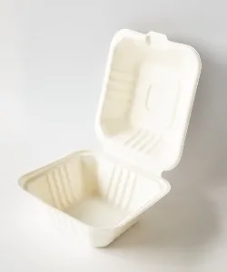 HP6 BAGASSE BOX