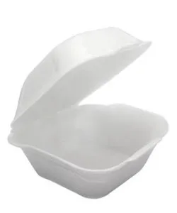 HP6 BAGASSE BOXES