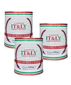 T & L SPICED PIZZA SAUCE    3 X 3KG