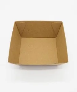KRAFT TRAYS SMALL