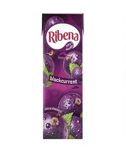 BLACKCURRANT RIBENA CARTONS