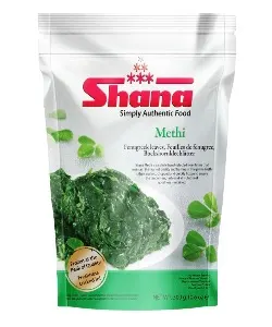 SHANA METHI