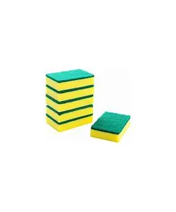 SPONGE SCOURERS