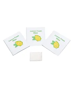 PREEMA LEMON LARGE WET WIPES X1000